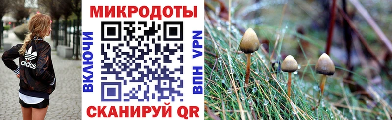 OMG рабочий сайт  Михайлов  Псилоцибиновые грибы прущие грибы 